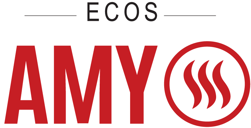 AMY logo